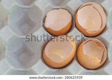 egg shell in panel