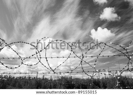 Lost freedom behind barbed wire. Law. Black amd white photo