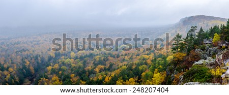 mountain, woods, river, and mist