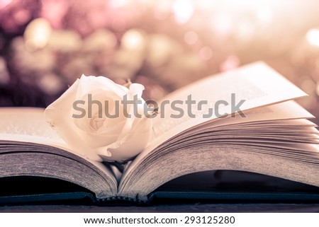 White rose on the open book on bokeh background in vintage color filter