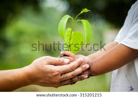 Child with parents hand holding young tree in soil together for prepare plant on ground,save world concept