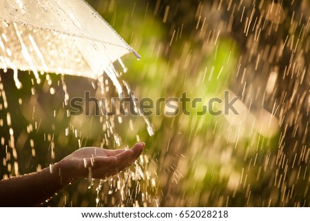 Woman hand with umbrella in the rain in green nature background