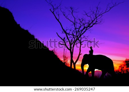 The elephant man in background purple sky