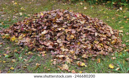 a large pile of dry leaves on the lawn