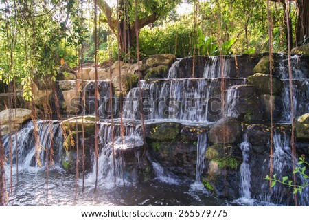 cascading waterfall of three stages with dangling roots of trees