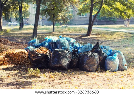 Many blue and black garbage bags with leaves on the ground. Cleaning of autumn foliage in park. Horizontal photo