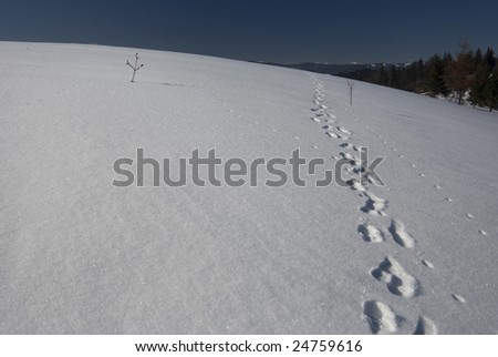 Footsteps on the smooth snow surface; imitates the fact, that the Earth is round
