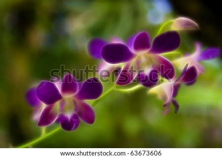 Little Purple Flowers A fractal filtered image of purple flower blooms. Horizontal.