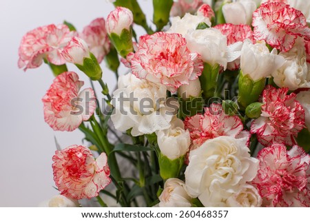 Gentle spring bouquet of light pink carnations