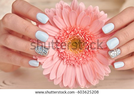 Cose-up of a delicate pink gerbera and blue manicure. Stylish fashion manicure with rhinestones.