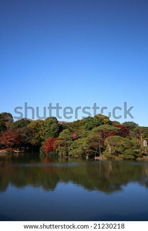 A 300 year old tradtional Japanese garden in fall with a bright blue sky and pond