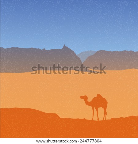 landscape with camel in desert