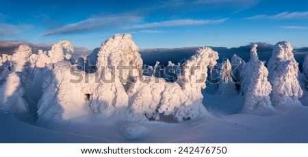 Winter in the high mountains. Snow sculpture. Horses with natural snow sculpture, snowy trees.