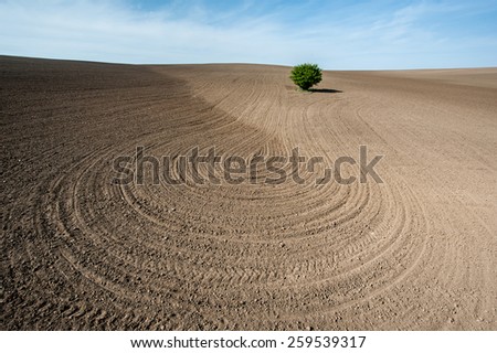 Arable work in spring.\
Plowed land on the field during agricultural work in spring.
