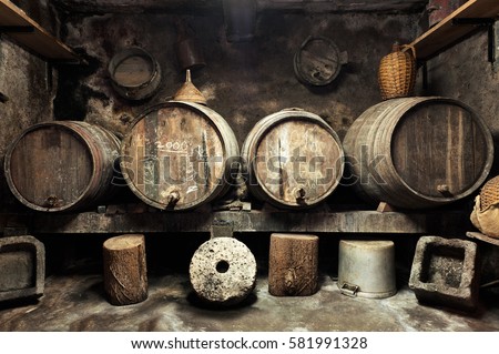 Old private wine cellar with many oak barrels, equipment for wine production. Old oak barrels in cellar.