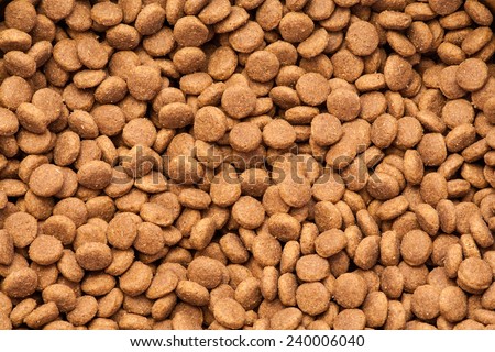 Dog dry food background.