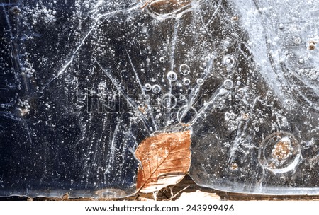 leaf trapped in ice , leaf trapped between the ice of a fountain creating effects of air bubbles