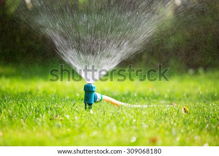 Lawn water sprinkler spaying water over green grass. Irrigation system