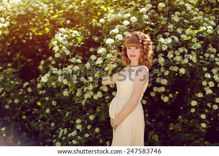 Portrait of a beautiful red-haired and curly pregnant girl on the background of green bushes