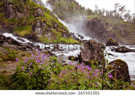 very beautiful waterfall in Norway with fast-flowing water, rocks and flowers in the summer