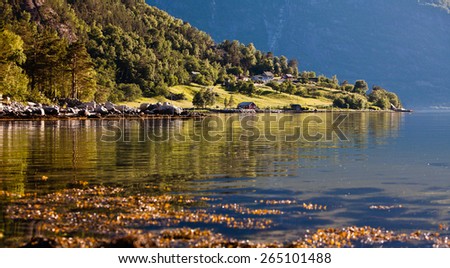 Very beautiful landscape view of the cozy little houses and beautiful reflection in the water of the fjord in Norway in the summer