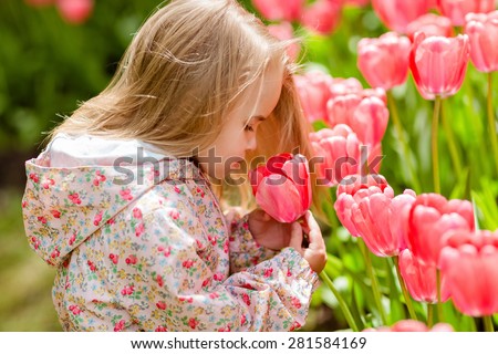 very cute beautiful girl blonde in pink coat costs around flower beds with red tulips in the Park and smelling the flower