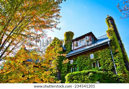 Trees and Vine House in autumn.