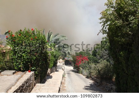 TIVON, ISRAEL - AUGUST 09:Forest fire breaks out in Kiryat Tivon. Rescue workers struggle to prevent further damage. Tivon, Israel August 09, 2012