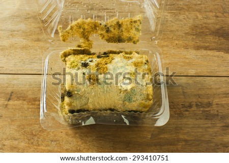Moldy bread in a transparent box on a wooden floor.