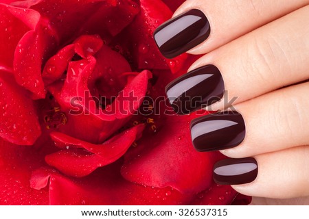 Beautiful nails and flower close-up, great idea for the advertising of cosmetics.
