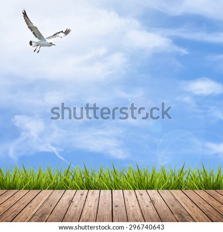 Wooden floor texture of terrace with fresh green grass under the blue sky, clouds, bird and sunlight of summer, use for background