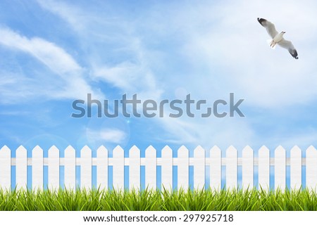 Bird fly over fresh green grass and white wooden fence under blue sky ,clouds and sunlight of summer background