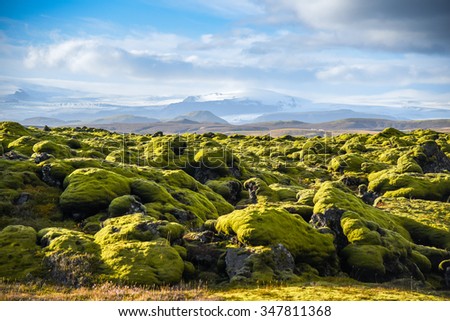Eldhraun lava field (moss cover on lava rock) glacier and mountain in Vatnajokull National Park, beautiful volcanic landscape of Iceland