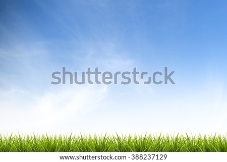 Fresh spring green grass under beautiful blue sky ,clouds and sunlight - use for background in natural summer concept