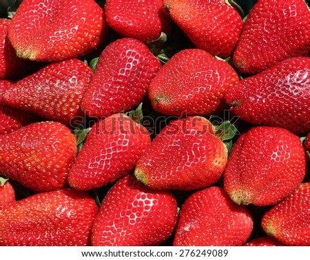 Strawberries: These locally organic grown strawberries are sold in the local markets. They are mouth watering; taste is sweet and juicy