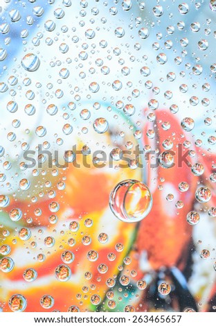 Water drops background, covered with water drops- condensation, close-up