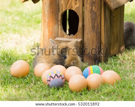 Easter with egg, baby bunny and wooden house on green grass