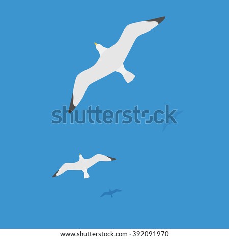 Seagulls flying on water, the flight of white birds on the blue sea. Editable vector flat illustration top view