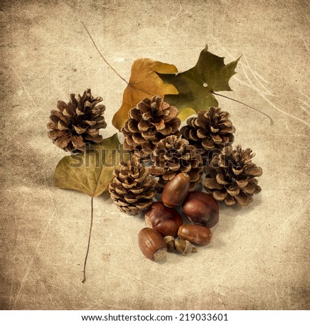 Pine cones and autumn leaves isolated on grungy background
