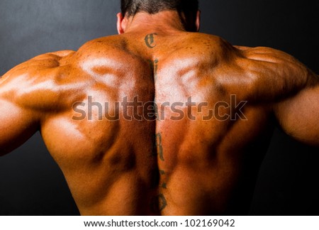 back muscles bodybuilder