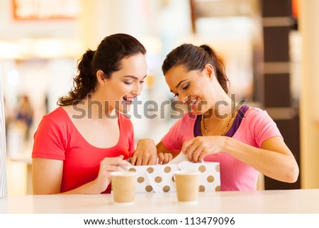 two women friends checking clothes inside shopping bag