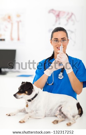 beautiful veterinarian preparing pet dog vaccination in office