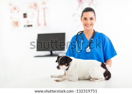 young female veterinary assistant caring for pet dog