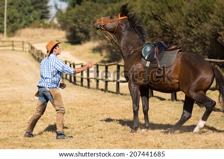 breeder trying to calm down his horse