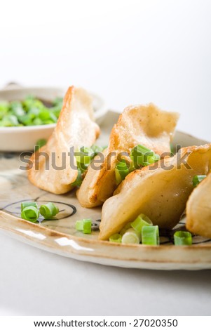 Fried Chinese Dumplings