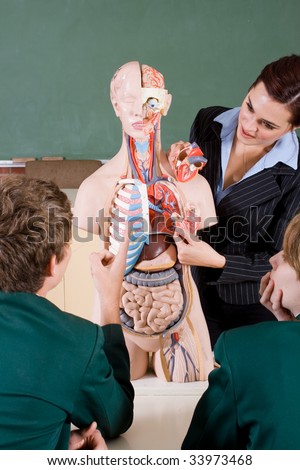 Young attractive female teacher teaching human anatomy at biology class