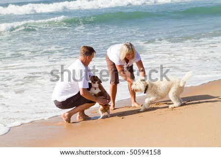 mid-aged couple playing with family dog on beach