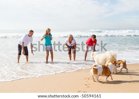 family of four playing with family dog on beach