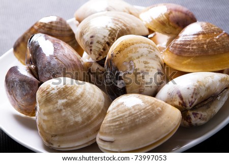 raw clams