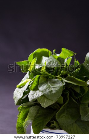 green leafy vegetable over black background